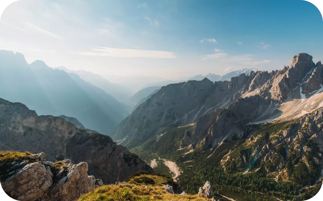 mountains where forests grow