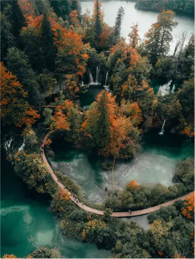 Riserva naturale con laghetto e piccole cascate viste dall'alto