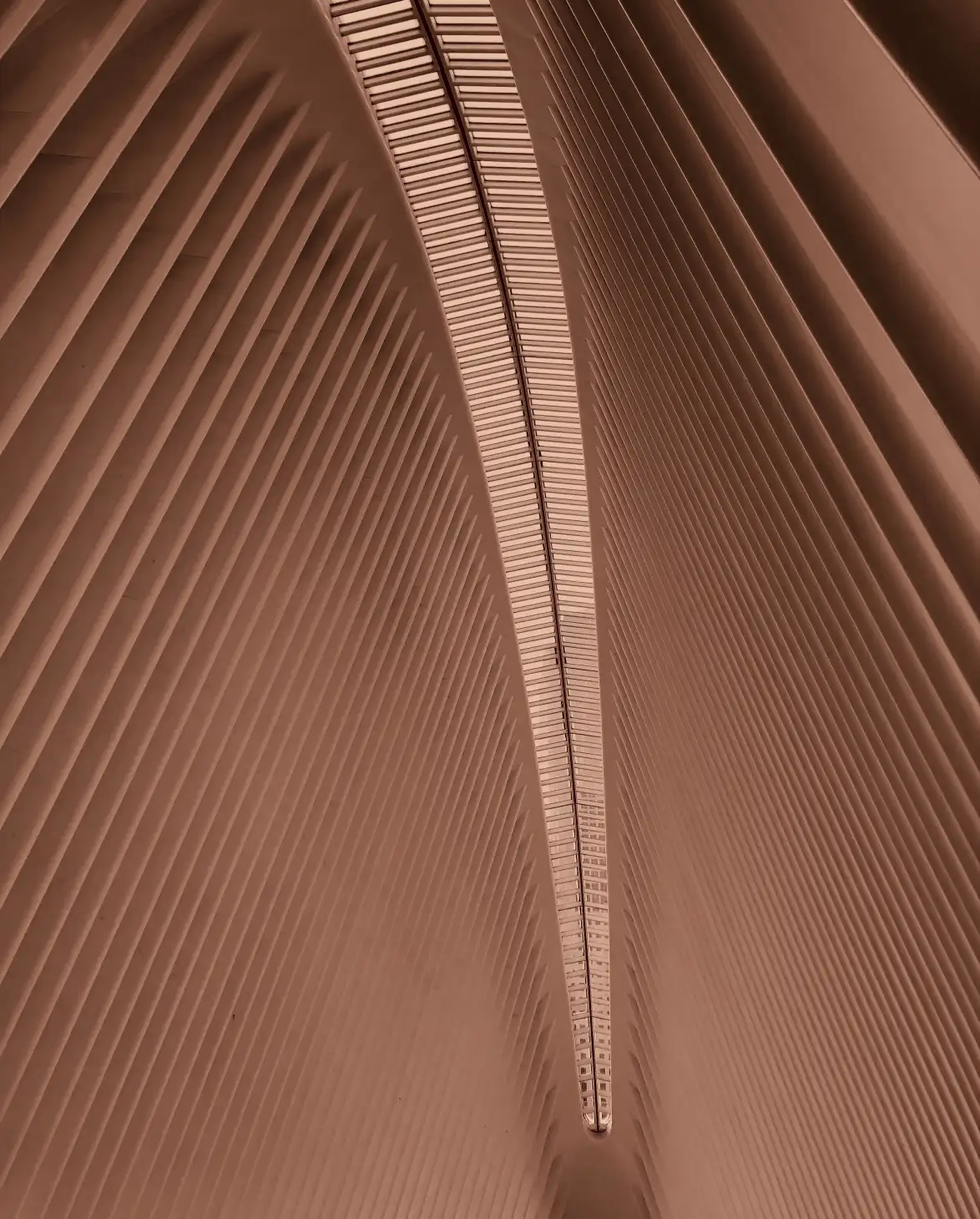 corridor with ribbed walls