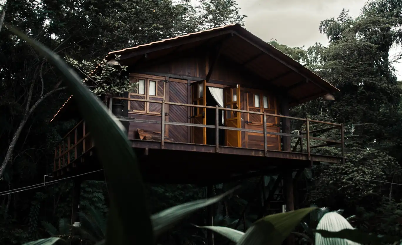 a house made of wood in the forest