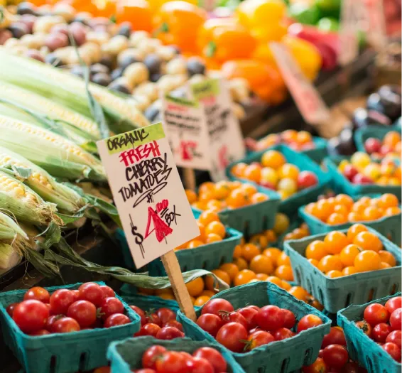 Vegetables on the shelves