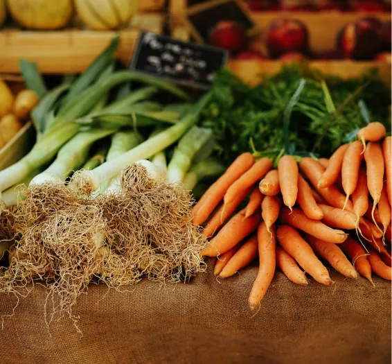 Vegetables on the shelves