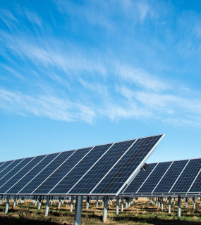 solar panels in the field