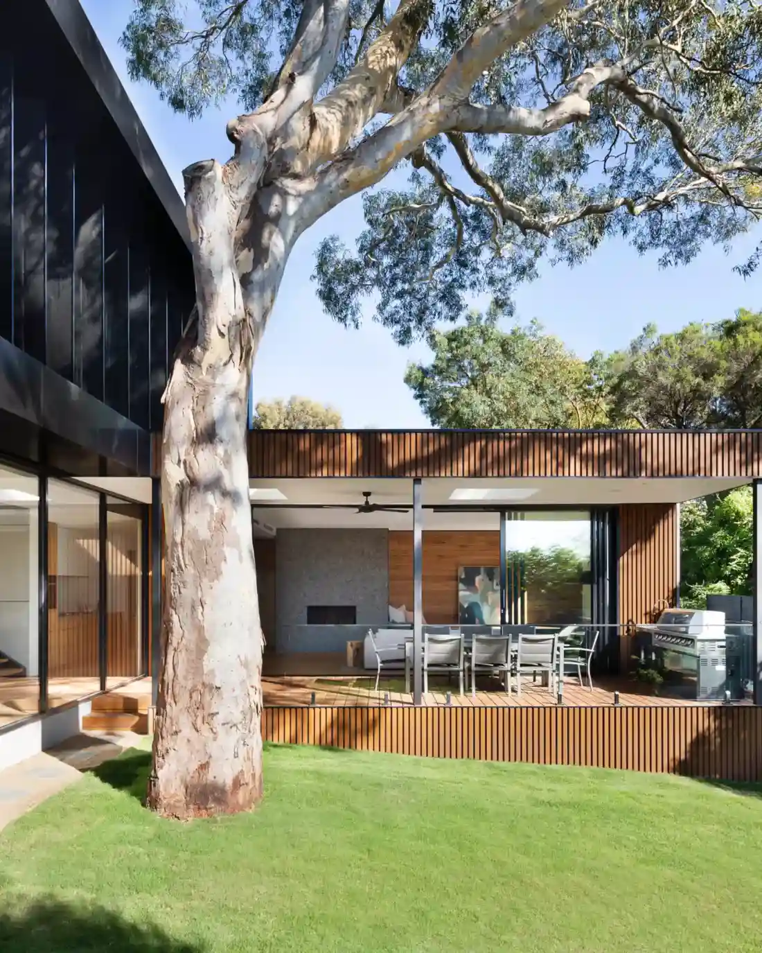 Una casa con ventanas panorámicas y un árbol creciendo cerca.