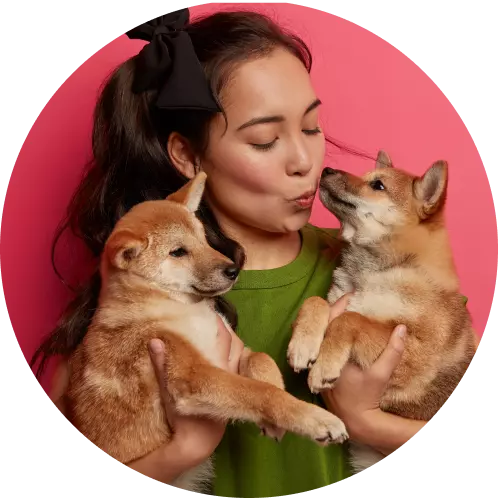 the girl holds dogs in her arms