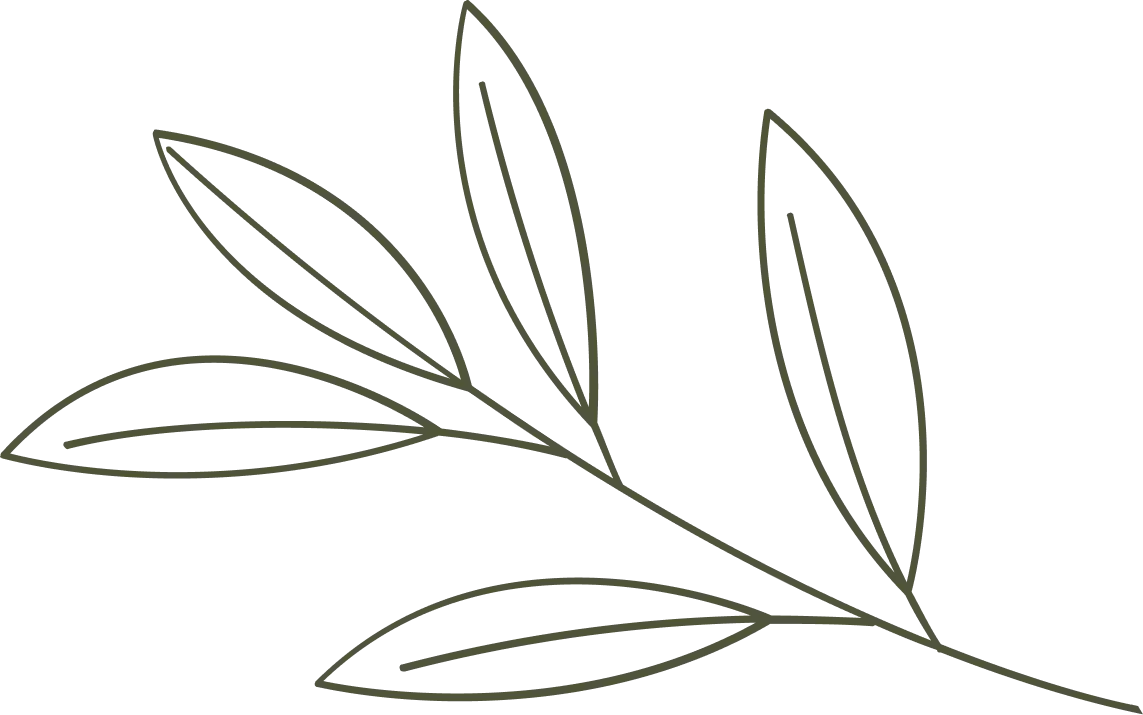 a branch with leaves
