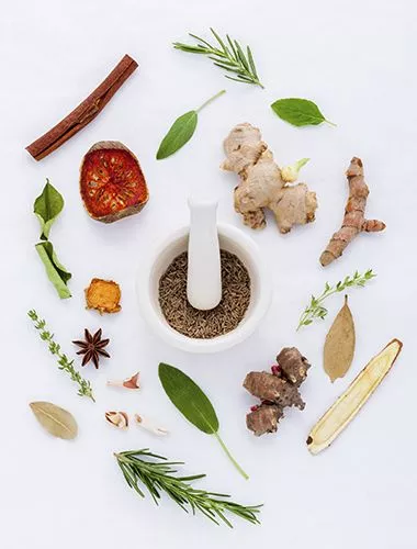 spices and herbs