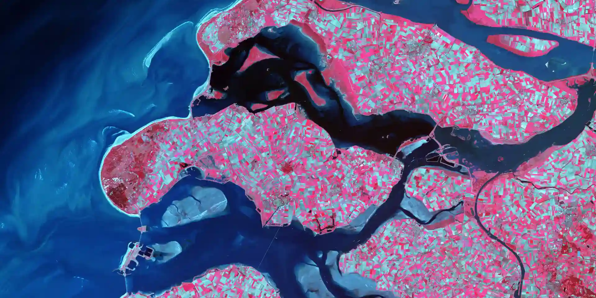 Blue-pink painting of part of the earth