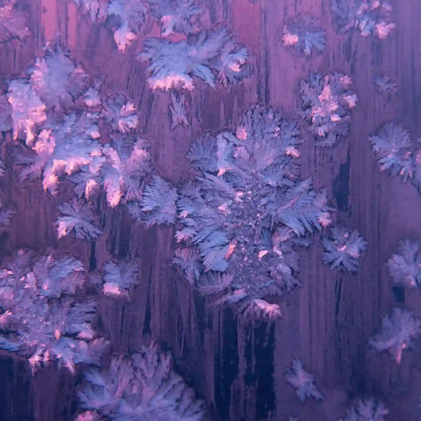 abstract image of purple color