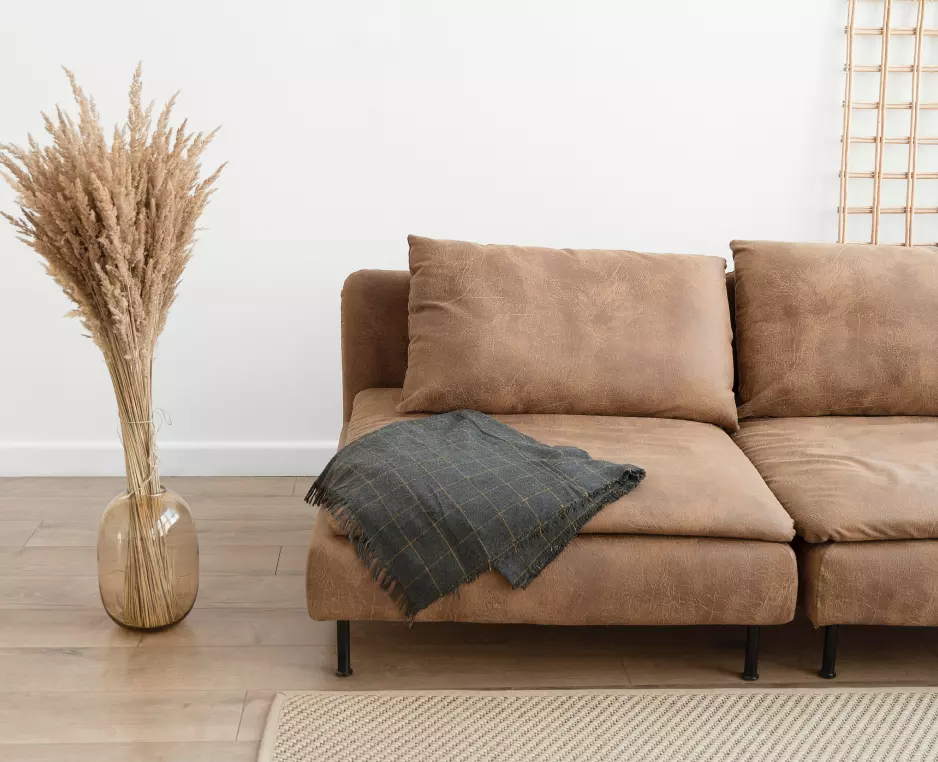Sofa ir augalas netoliese