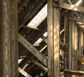 wood