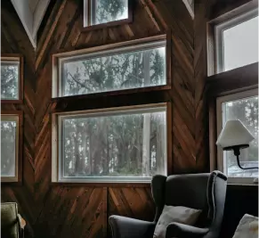 wood