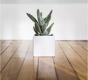 wood