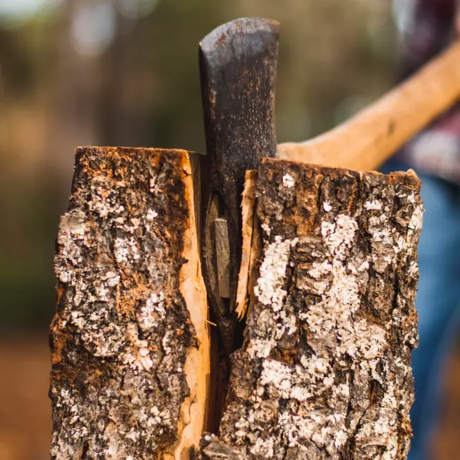 an ax in a tree