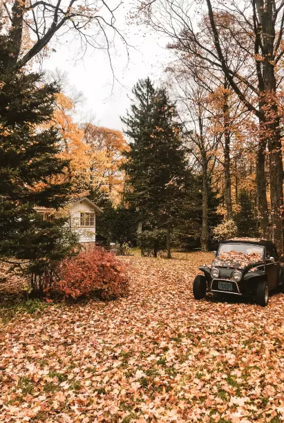 the car is covered with leaves