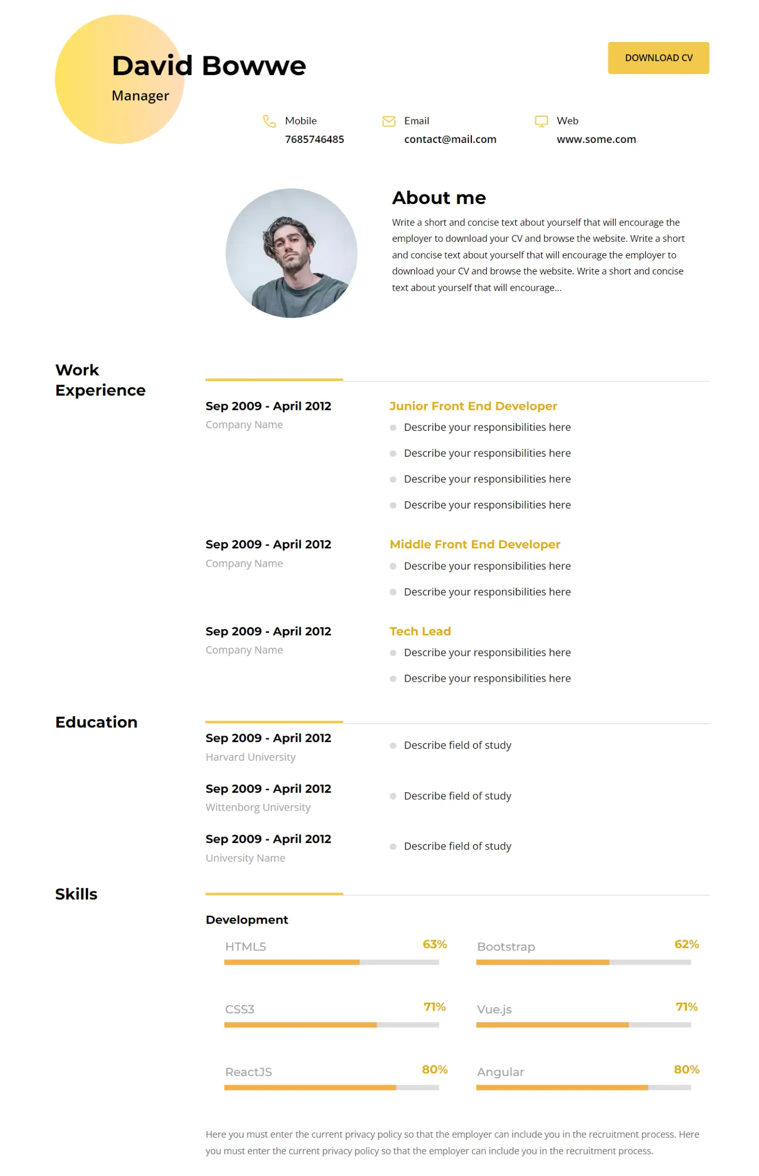 CV creativo - modello di BOWWE