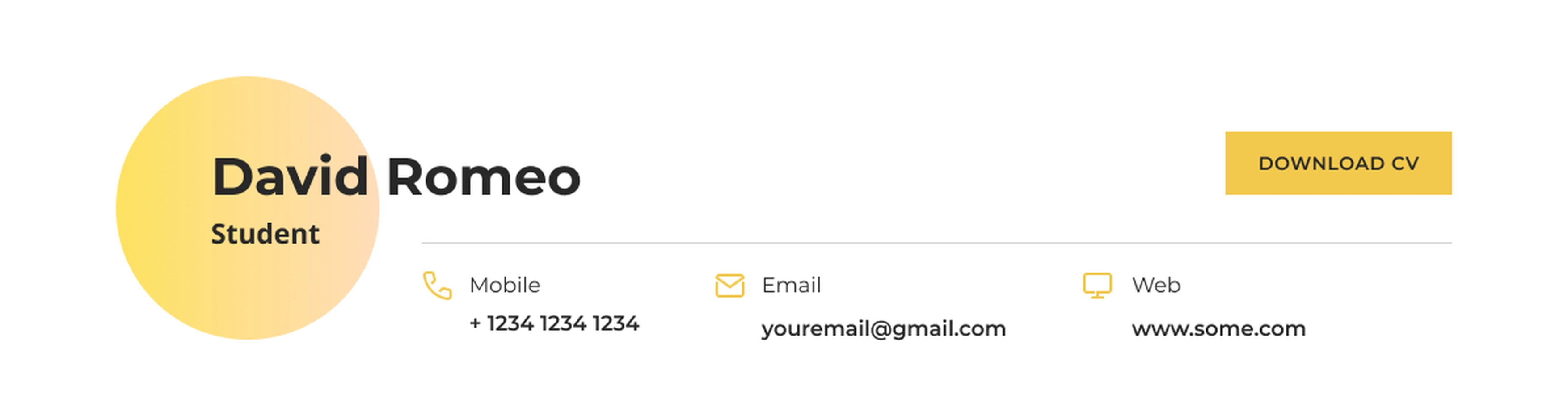 Intern CV Example - Contact