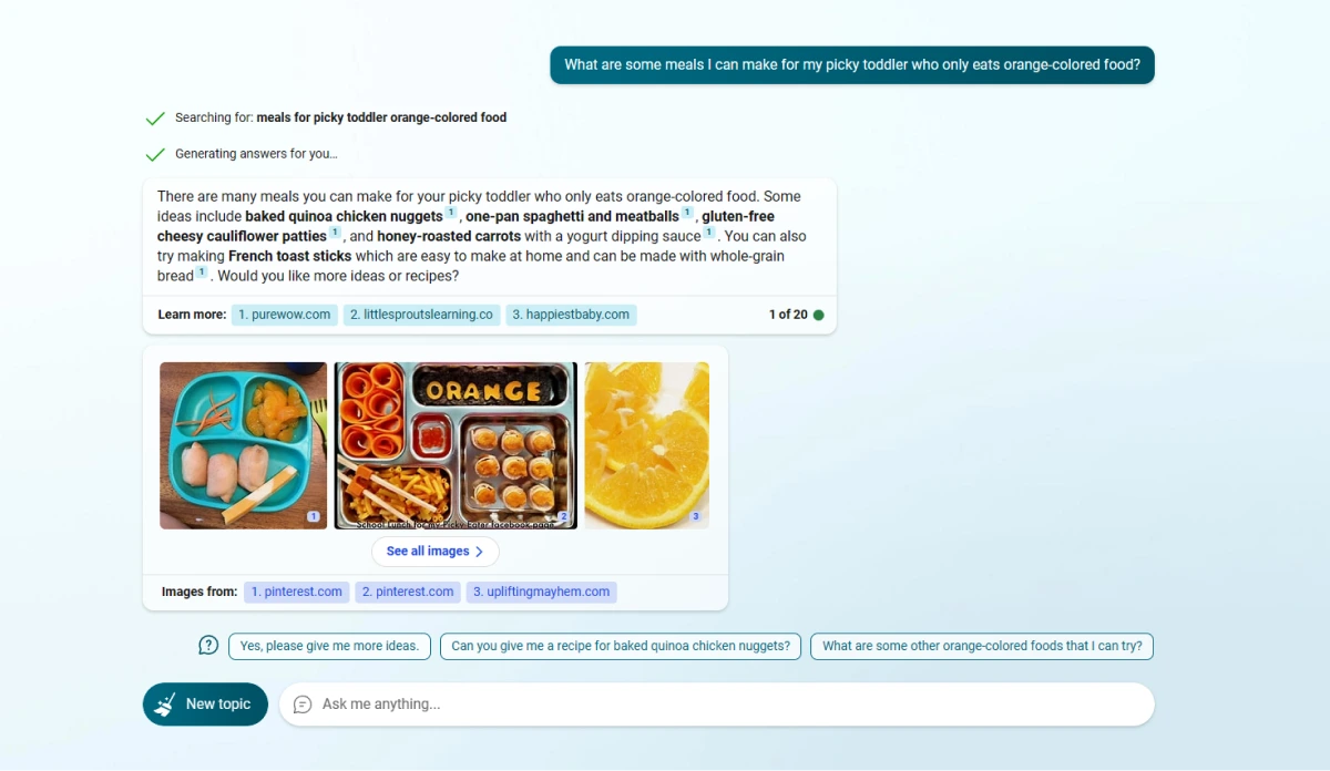 Screenshot of conversation with Bing Chat