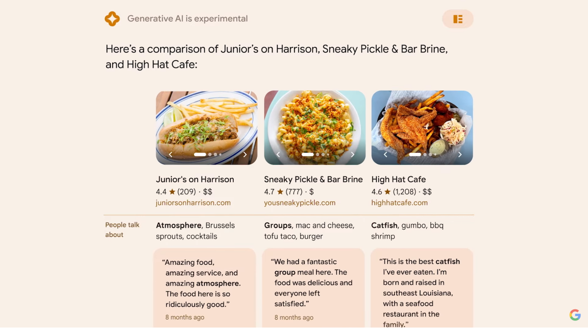 Excerpt from a Google AI search result