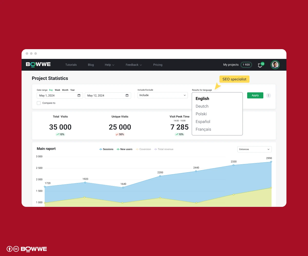 Controllo delle statistiche di un sito web multilingue creato con BOWWE Multilingual Website Builder