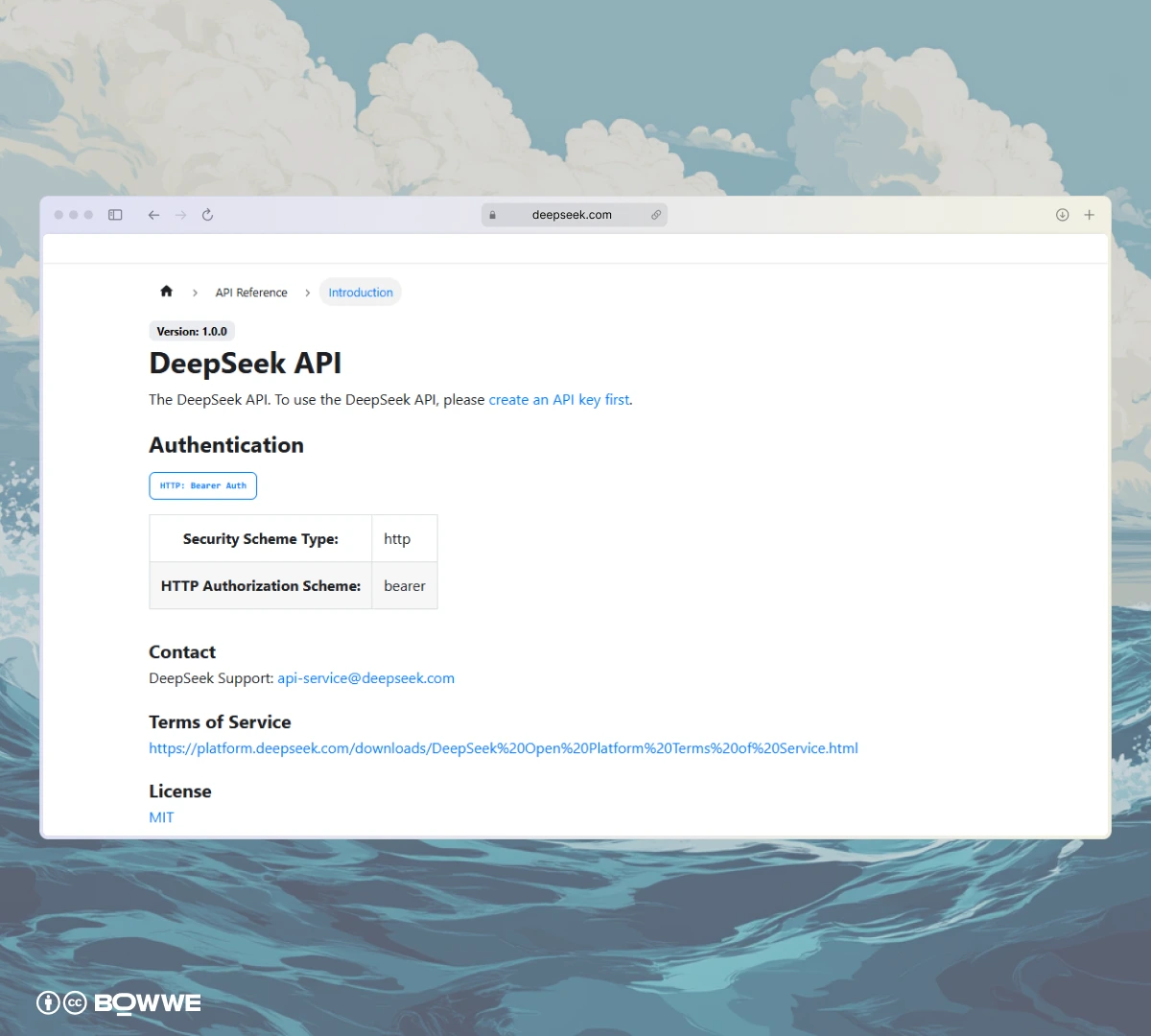 Captura de pantalla de las instrucciones para DeepSeek AI