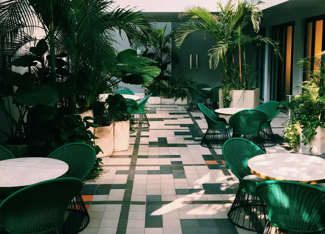 Room with chairs and plants