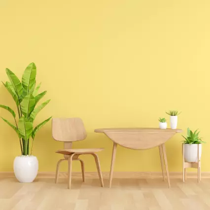 Möbel für das Zimmer aus Holz