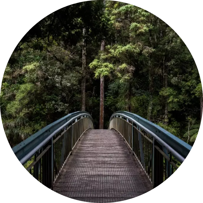 Puente de metal que conduce al bosque