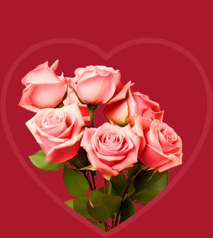 rosa Rosen