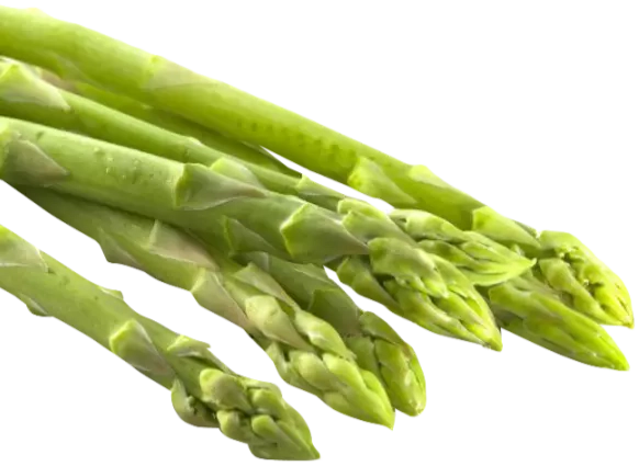 Spargel