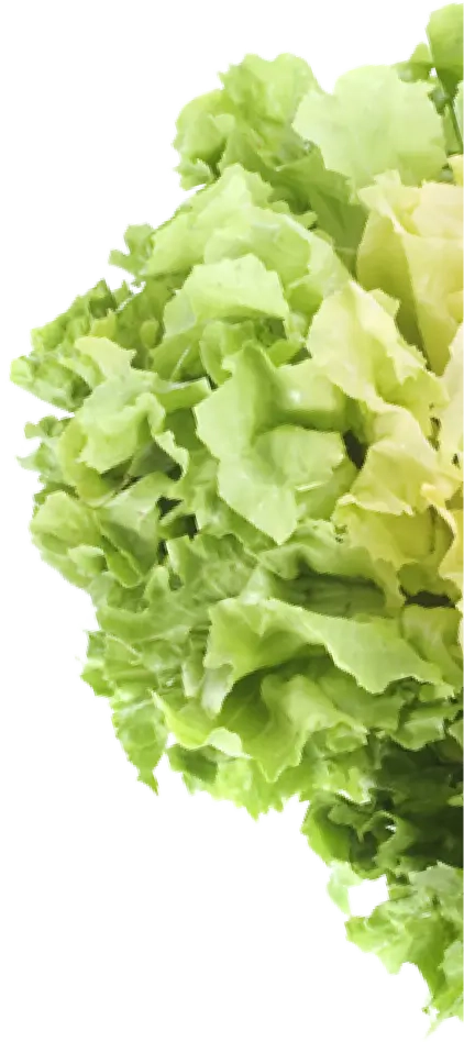 Abbildung von Kohl