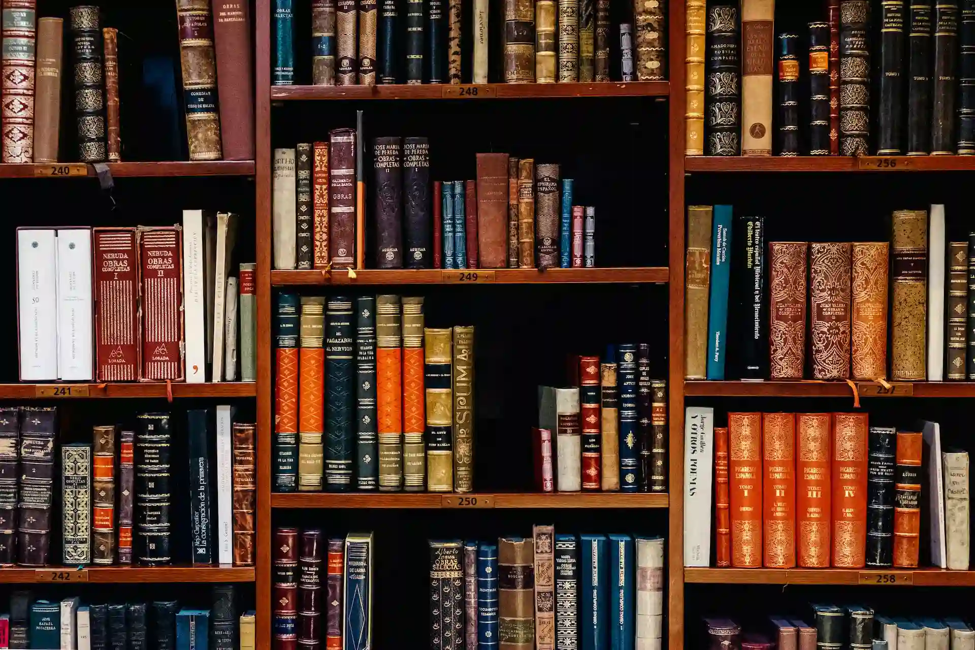 style with a lot of books