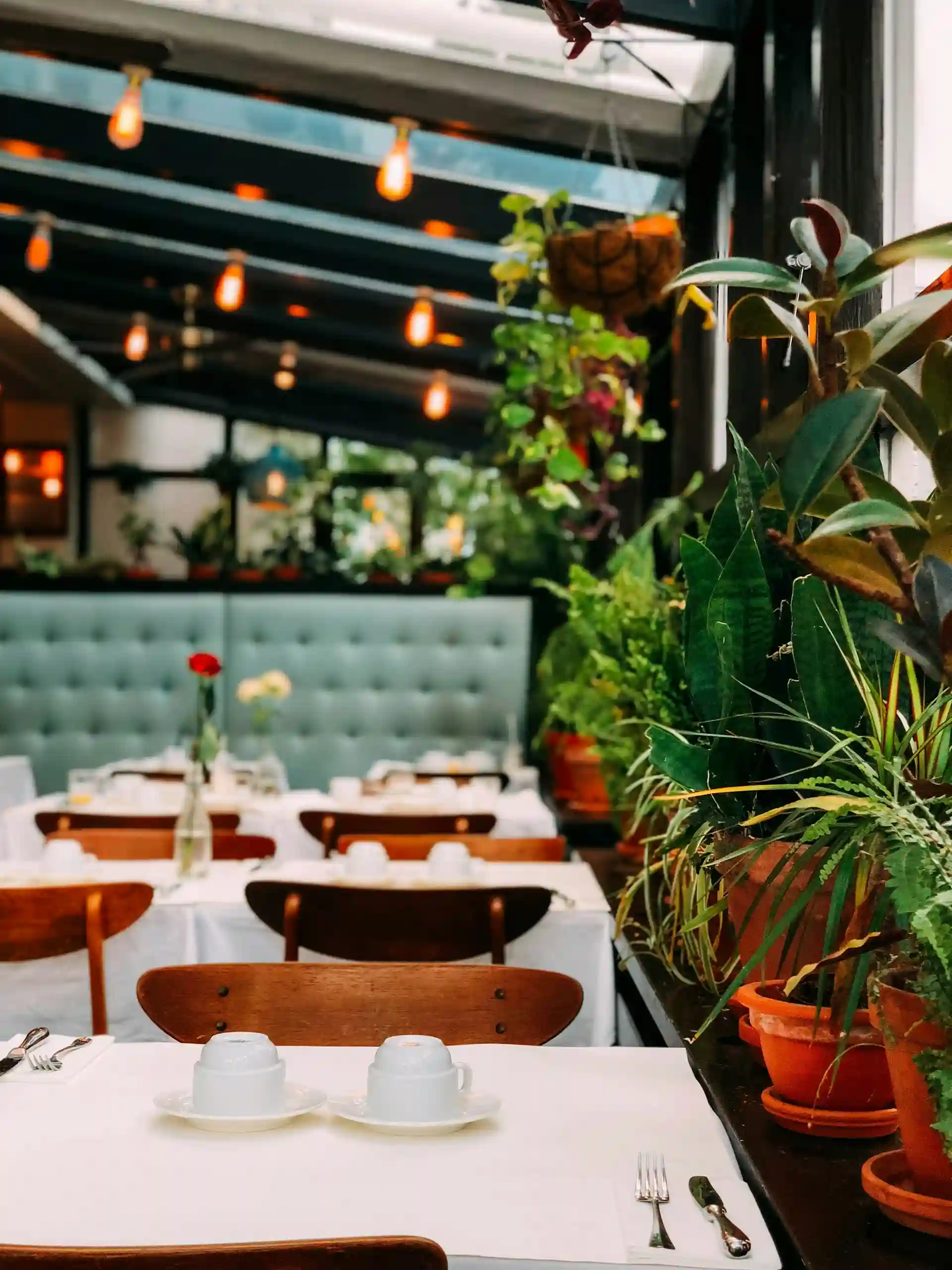 Restaurant with lots of plants