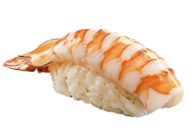 Nigiri with tiger shrimp