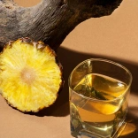 Lemongrass Gin Fizz