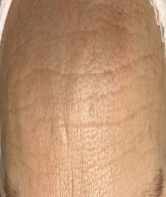 Kobiece ciało