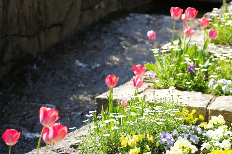 The Complete Spring Planting Guide: What to Sow in March