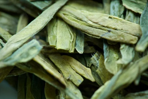 Sip Into Calm: Discover the World of Tea
