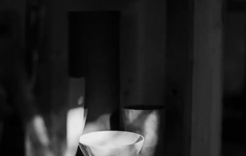Cups in the rays of light